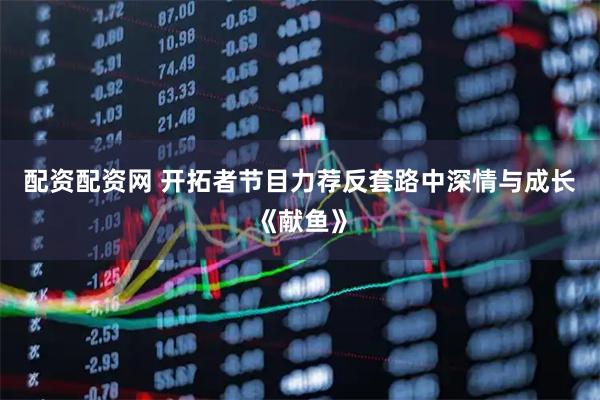 配资配资网 开拓者节目力荐反套路中深情与成长《献鱼》